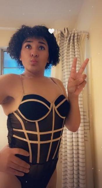 8703455631, transgender escort, Little Rock